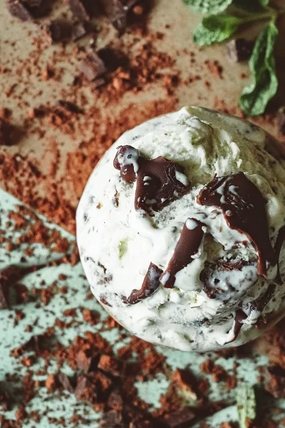 mint chocolate chip ice cream